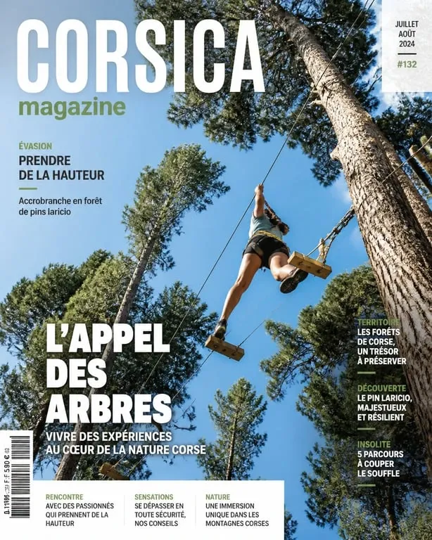 Parcours d'accrobranche dans une forêt de pins en Haute-Corse près de Bastia
